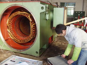 专业 阳江高压电机 维修 修理 保 重庆特电维修制造修理实例